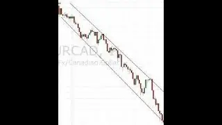 Что будет с монетой Prizm