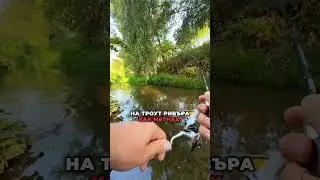 ЩЕ ХВАНА ЛИ С НОВИЯ ВОБЛЕР? #риболов #twitchfishing