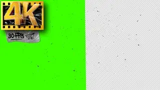 Swarm of Insects | Bees, Flies Flying Green Screen | Footage 4K