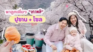 EP.2  พาลูกเที่ยวเกาหลีช่วงดอกพ็อดกดบาน  เที่ยวเมืองปูซาน ไปคาเฟ่สวย และกลับเข้าโซล