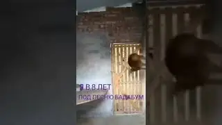 У ВСЕХ ТАК БЫЛО😆 | АМОРАЛЬЩИНА
