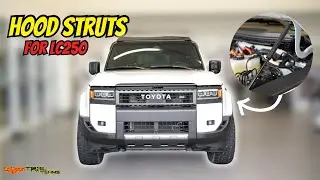 LC250 hood struts
