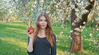 Apple orchard