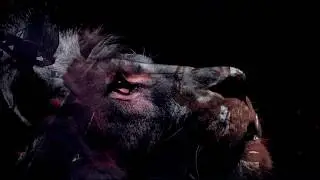 The lion who wanted to have stripes (original song)