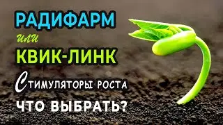 Стимуляторы роста растений. Чем отличается Радифарм от Квик Линк