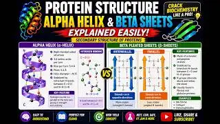 #biology #science  #biomolecules #DNA #nucleic acid #proteins #trending #viral # beta sheets #helix