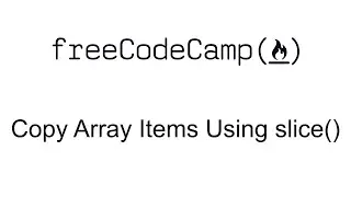 Copy Array Items Using slice()