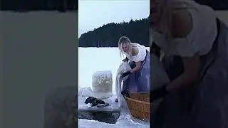 Супруга, утверждая, что провела весь день за стиркой.
