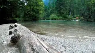 Gentle Lake Waves Lapping // White Noise For Sleeping and Relaxation. Sounds to Relief Stress