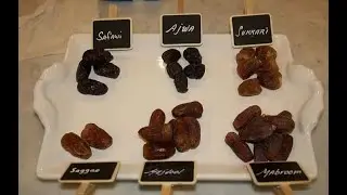 10 Best Types of Dates in Saudi Arabia