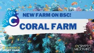 New Farm 26% daily just found on Binance Smart chain! How to Buy BSC and more!