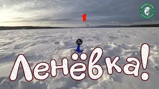 ПЕРВЫЙ ПОДЪЁМ НЕ ЗАСТАВИЛ СЕБЯ ЖДАТЬ! ЗИМНЯЯ РЫБАЛКА НА ЛЕНЁВКЕ 2024, НА ЖЕРЛИЦЫ И УДОЧКИ В ПАЛАТКЕ!