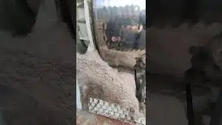 #ремонтбытовойтехники #сушка