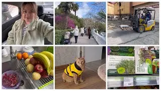 VLOG: I WANT MORE FRUIT / NEW PRODUCTS AT FIX PRICE / ORDERING PRODUCTS / COSMETICS REVIEW