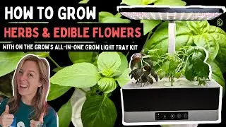 Grow 3 Basil Varieties & Edible Flowers on Your Kitchen Counter!