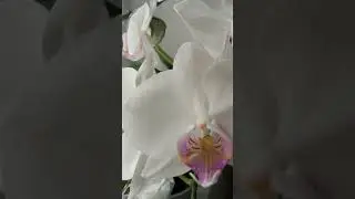 Цвет настроения - весенний😊☺️🤗☀️