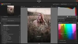 How to color grade a raw photograph using darktable