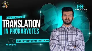 Translation in Prokaryotes CSIR NET | Best Lecture on Youtube | Prokaryotic Translation CSIR NET