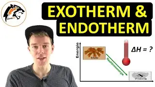 Exotherme & Endotherme Reaktionen – (Grundlagen) | NEU