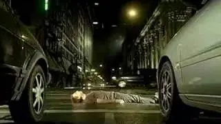 Snow Patrol-Chasing cars