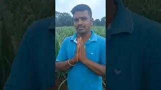Plant growth promoter PGP and SPA गन्ने के खेत पर शानदार रिजल्ट