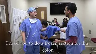 Despacito pathology parody