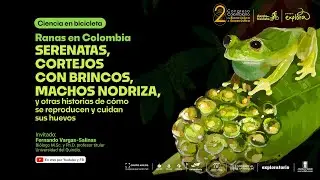 Huevos pegados a las hojas y machos cantores que los cuidan | Ciencia en bicicleta | Parque Explora