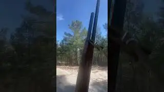Yaylalardan bir tavşan avı daha
