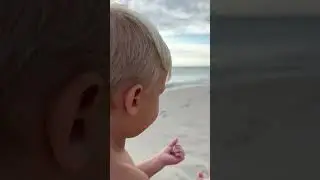 Милый малыш собирает ракушки на берегу и бросает их в ведерко с водой #kids #funnybaby #swimming
