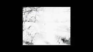 Paul Haslinger - Waltz II (Official Video)