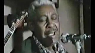 The very real Blues: Arthur Crudup & Sons