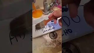 P1NT0 DE GRAÇA PRA TODO MUNDE