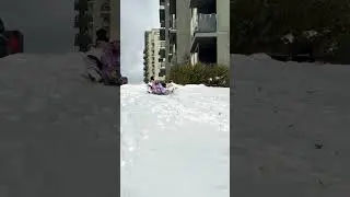 Sledding 