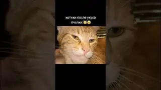 5 октября 2023 г.
