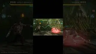 Shadow Fight 4 Lynx Combo
