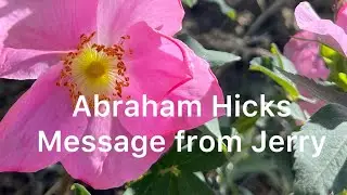 Abraham Hicks. Message from Jerry 😇