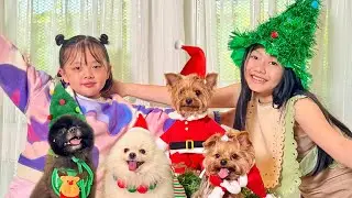 Bug tries to take Christmas tree photo with so many pets