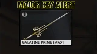 Warframe- Galatine Prime Build