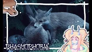 КУСАЕМ ПРИЗРАКА ЗА ПОПУ|PHASMOPHOBIA FEAT. brezzeakamura, Боба| СТРИМ №21