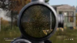 Dayz Pvp server ps5