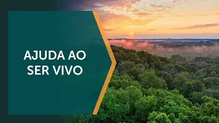 Embrapa incentiva a importância de mais áreas de preservação ambiental