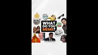 What is Your Favorite Meme?