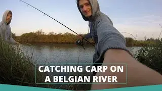 Catching carp on a Belgian river