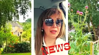 621. Английская деревня, семейные отношения и женская дружба.