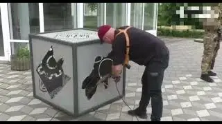 вот так мы "болгаркой" этим петухам будем отрезать яйца.