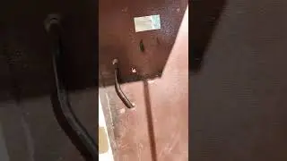 Pov: ping 1000-7