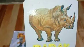 Belajar mengenal Nama Hewan