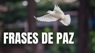 FRASES DE PAZ curtas