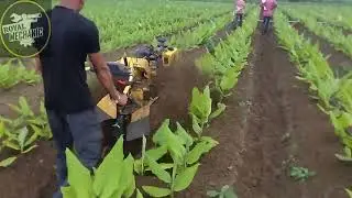 Maximum Power: KK IC 406D Machine Demonstration