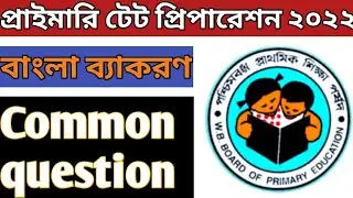 Primary Tet Bengali Grammar ||  বাংলা ব্যাকরণ প্রশ্ন ||  WB TET 2022 || Primary Tet Exam Preparation